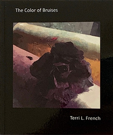 The Color of Bruises